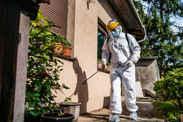 Best Pest Removal Services  in Panhandle, TX